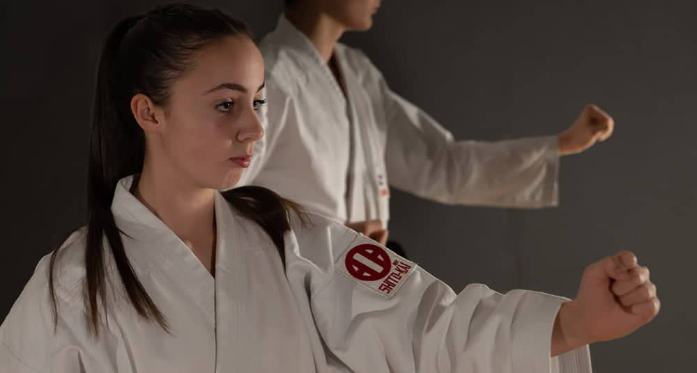 Youth and Adult Karate and Martial Arts Lessons